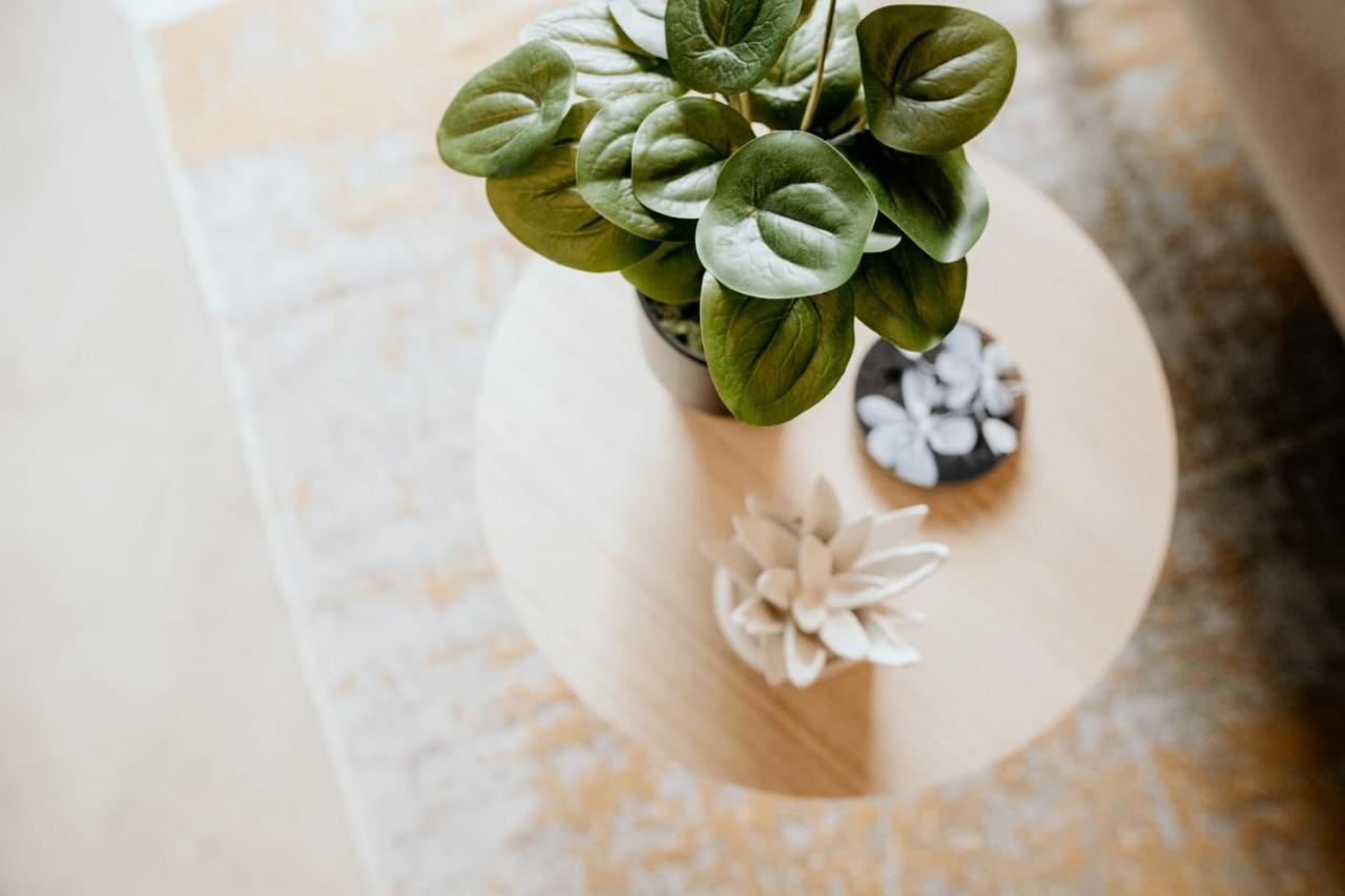 Apartamento Uxolo Living